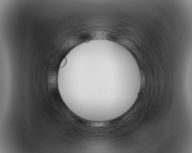 X0000087320717200704200739