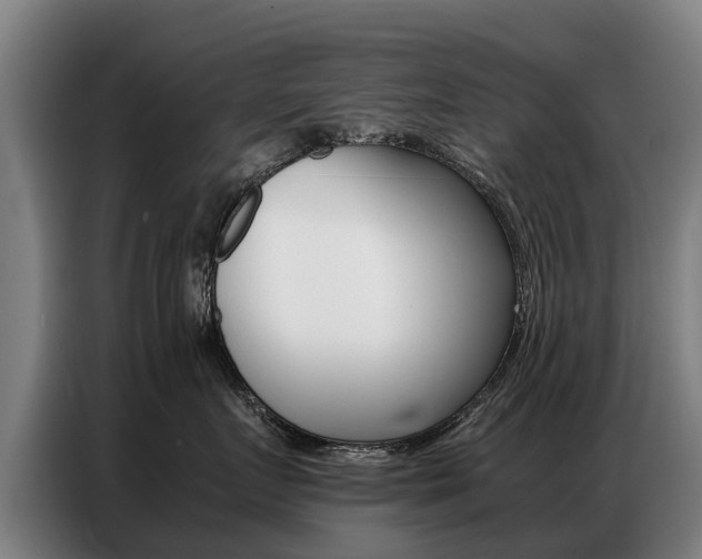 X0000087320719200704200739