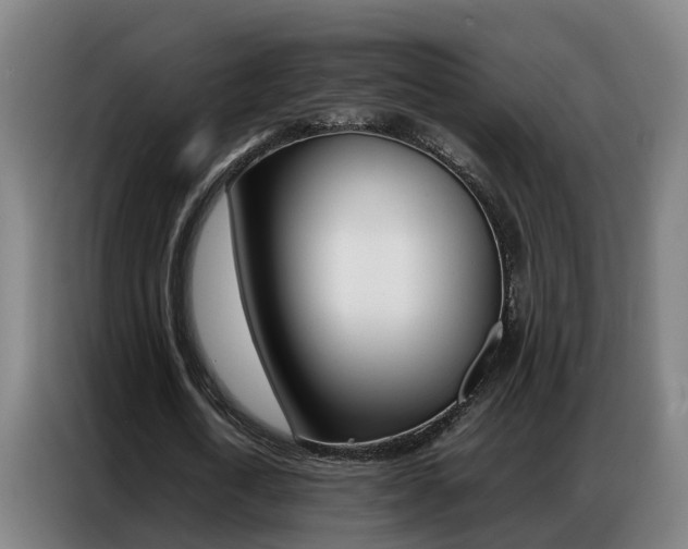 X0000087320722200704200738
