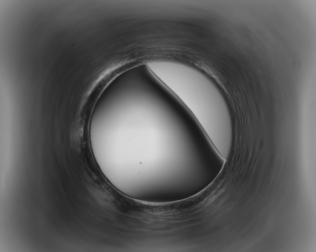 X0000087320723200704200738
