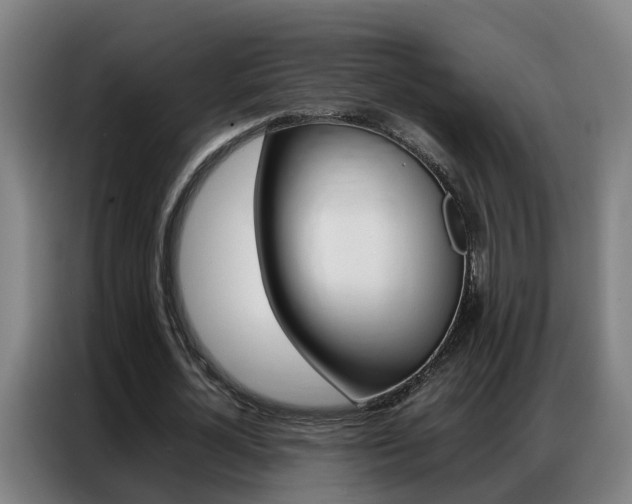 X0000087320724200704200738