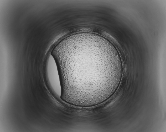 X0000087320725200704200738