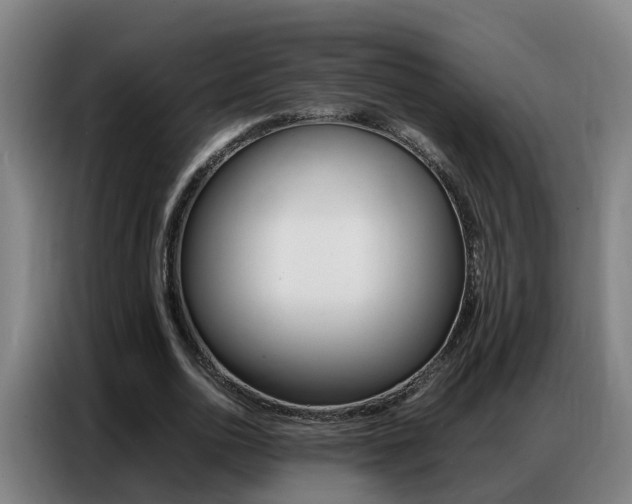 X0000087320726200704200738
