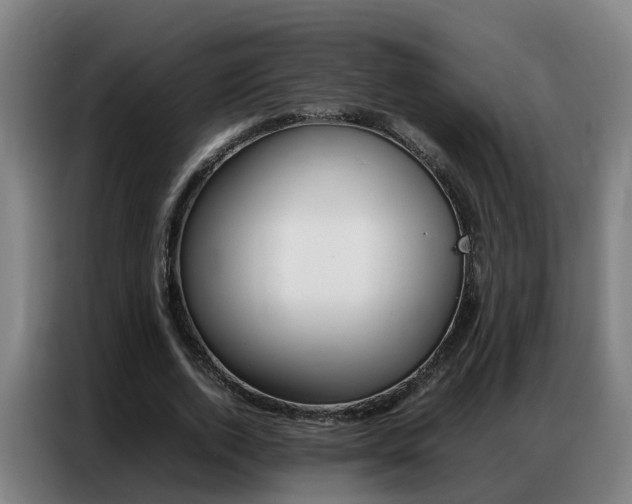X0000087320728200704200738