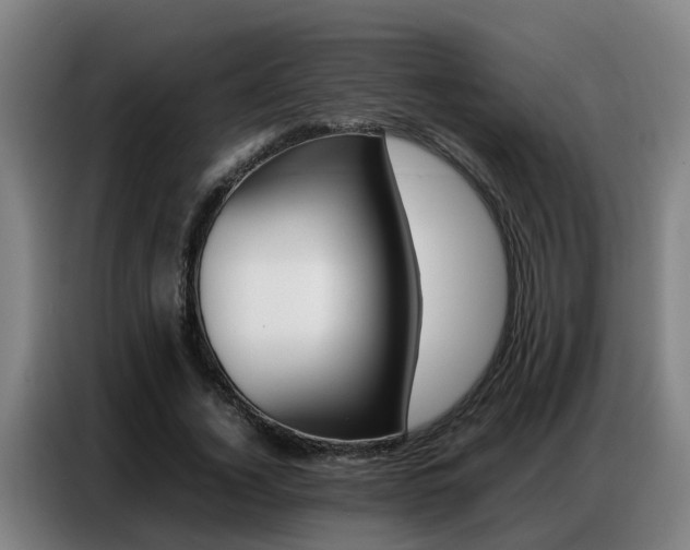 X0000087320732200704200738