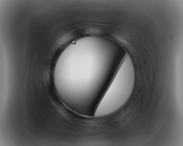 X0000087320735200704200739