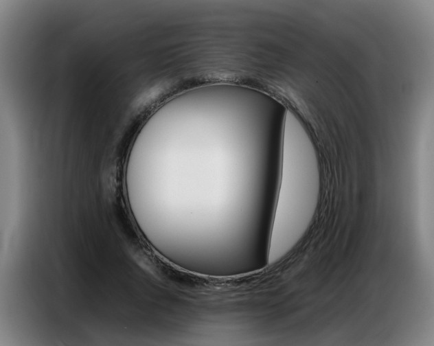 X0000087320736200704200739