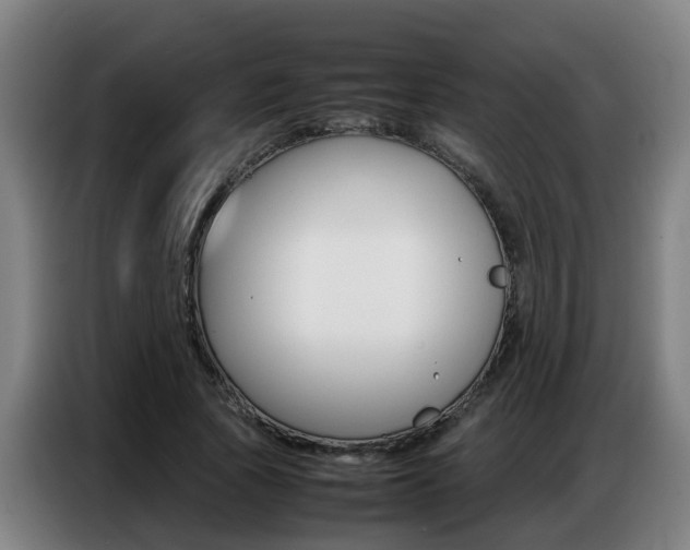 X0000087320737200704200739