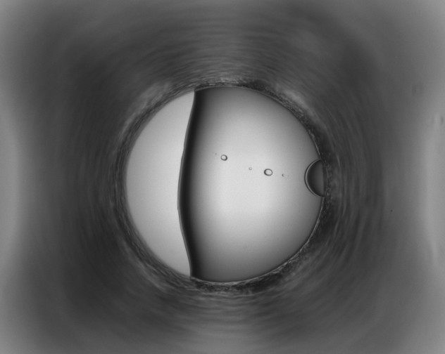 X0000087320738200704200739