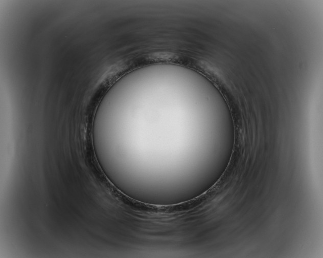 X0000087320739200704200739