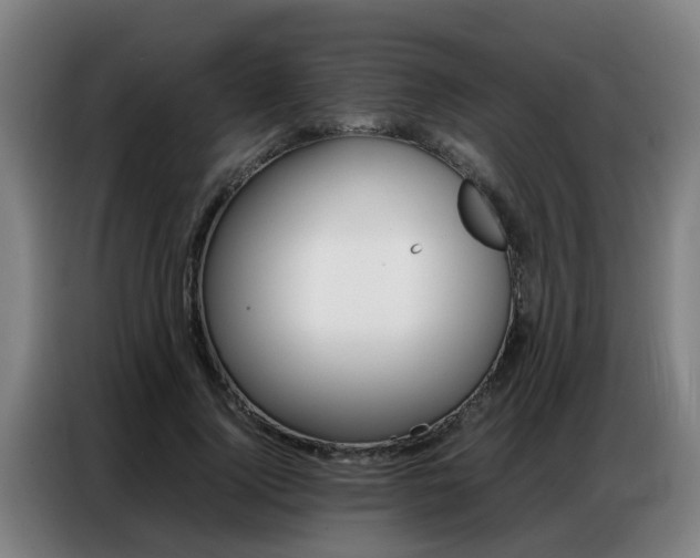 X0000087320740200704200739