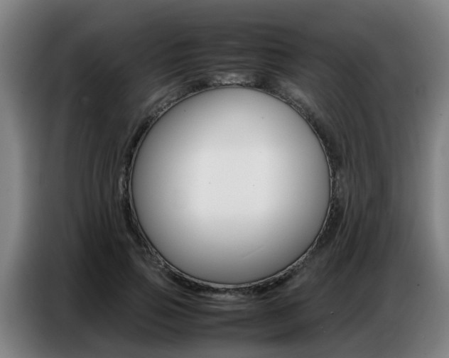 X0000087320741200704200739