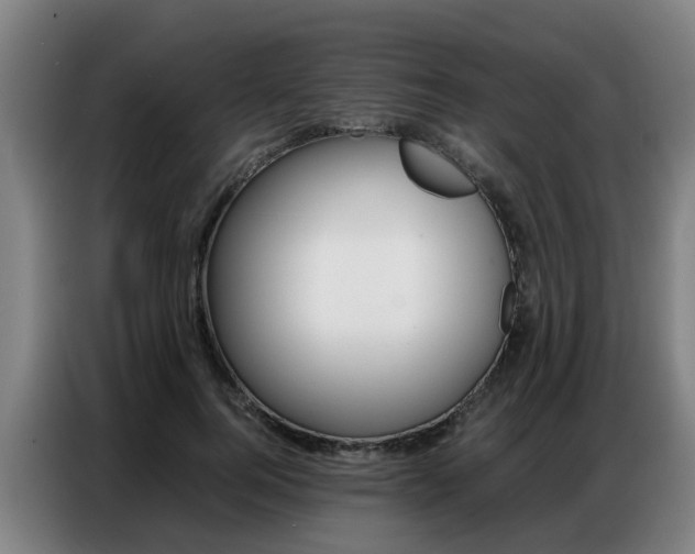 X0000087320744200704200739