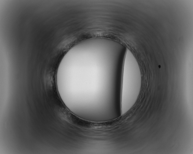 X0000087320746200704200739