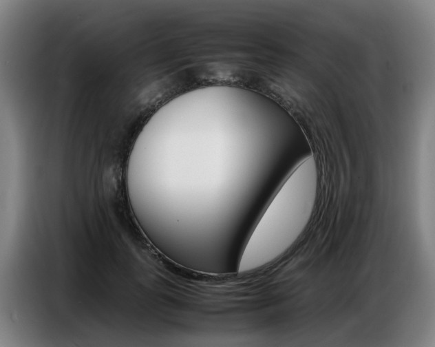 X0000087320747200704200739