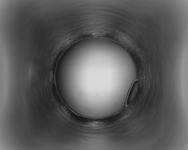 X0000087320748200704200739