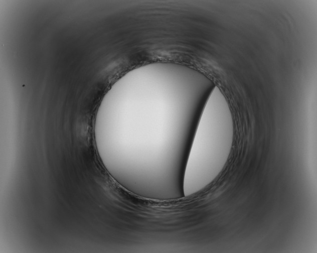 X0000087320749200704200739