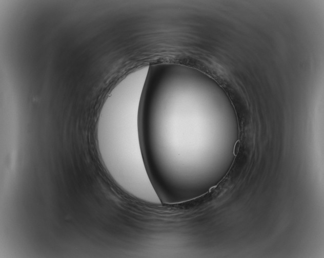 X0000087320750200704200739
