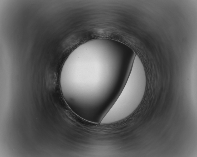 X0000087320752200704200739