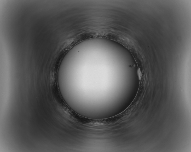 X0000087320756200704200739