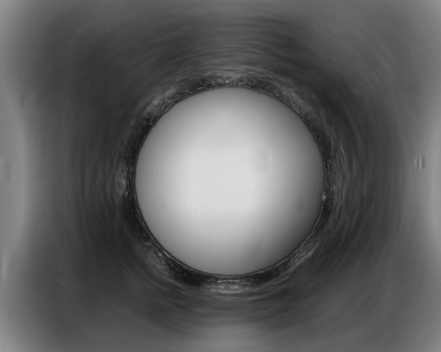X0000087320758200704200739