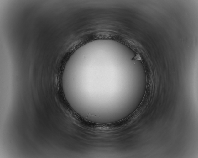 X0000087320759200704200739