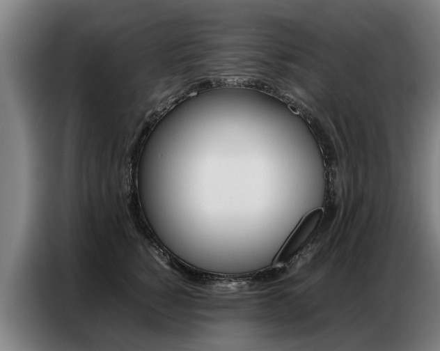 X0000087320760200704200739
