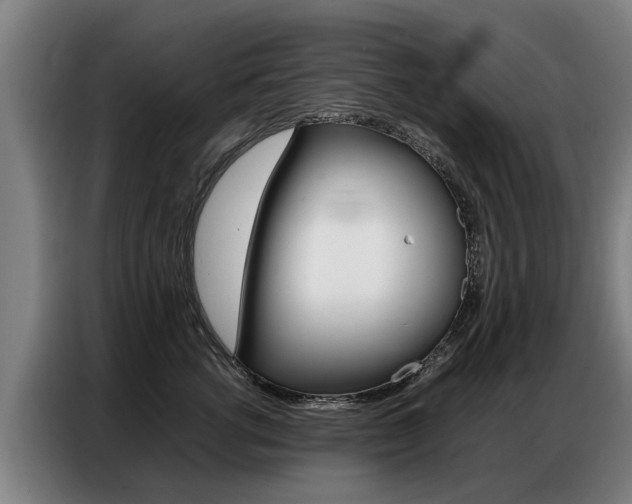 X0000087320762200704200739
