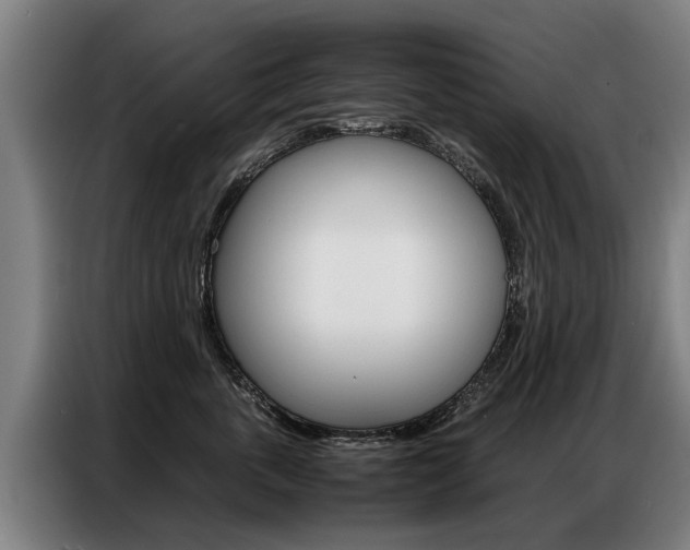 X0000087320763200704200739