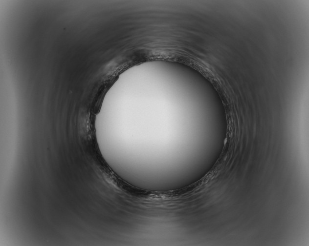 X0000087320764200704200739