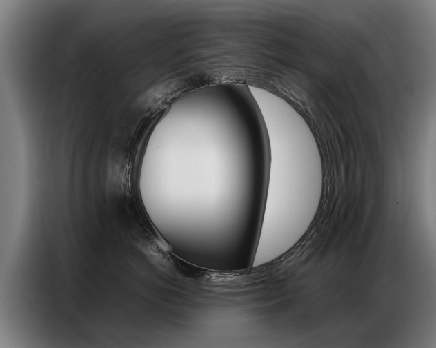 X0000087320766200704200739
