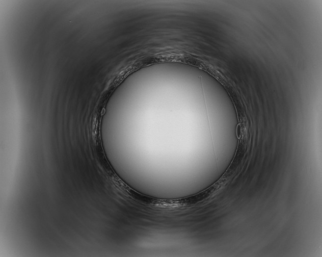 X0000087320767200704200739