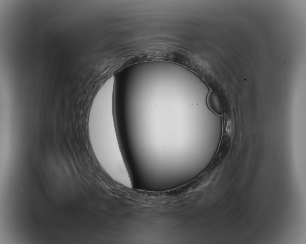 X0000087320771200704200738