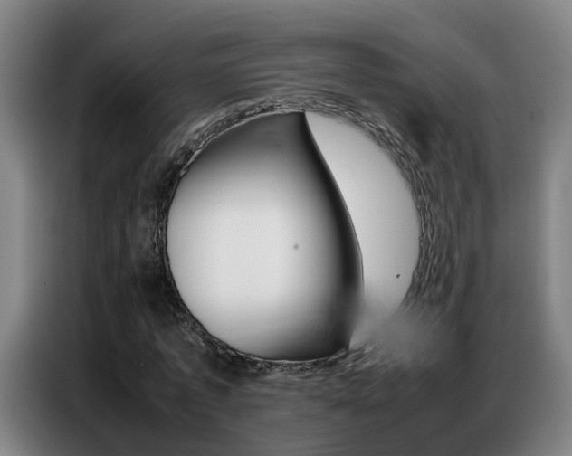 X0000087320773200704200738