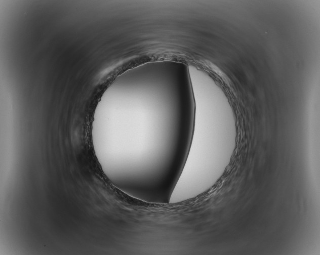 X0000087320775200704200738