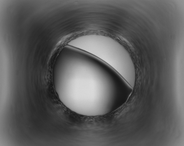 X0000087320776200704200738
