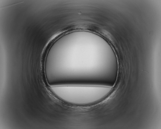 X0000087320779200704200738
