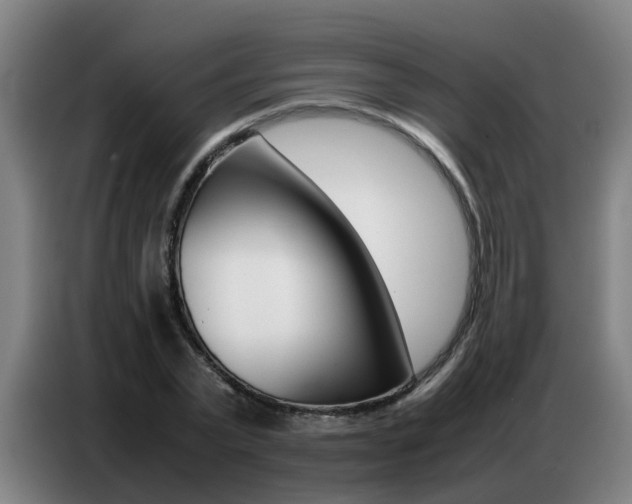 X0000087320783200704200738
