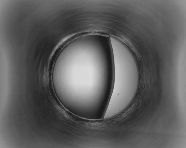 X0000087320784200704200738