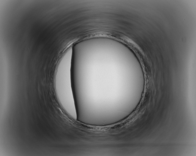X0000087320785200704200738