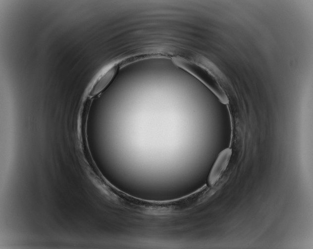 X0000087320788200704200738