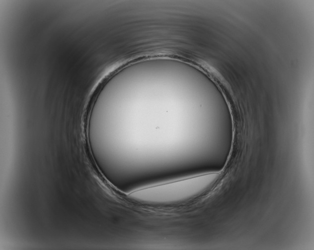 X0000087320789200704200738