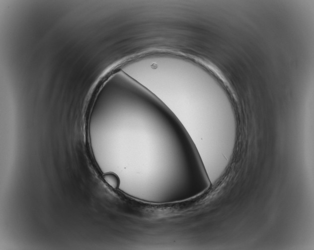 X0000087320791200704200738