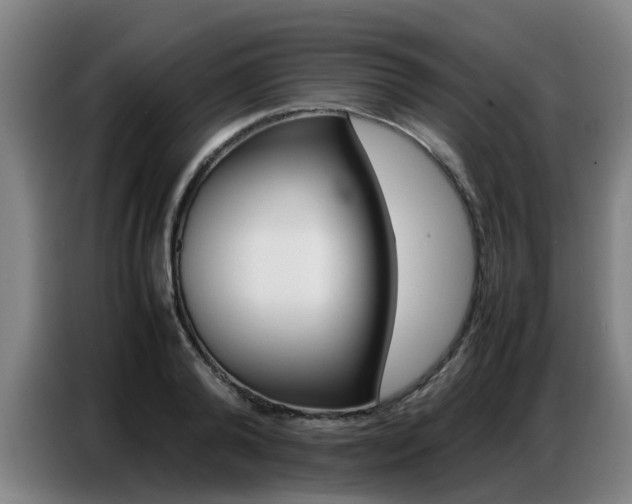 X0000087320792200704200738