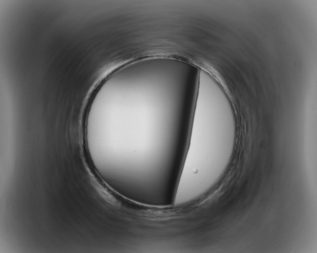 X0000087320795200704200738
