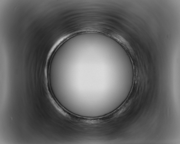 X0000087320796200704200738