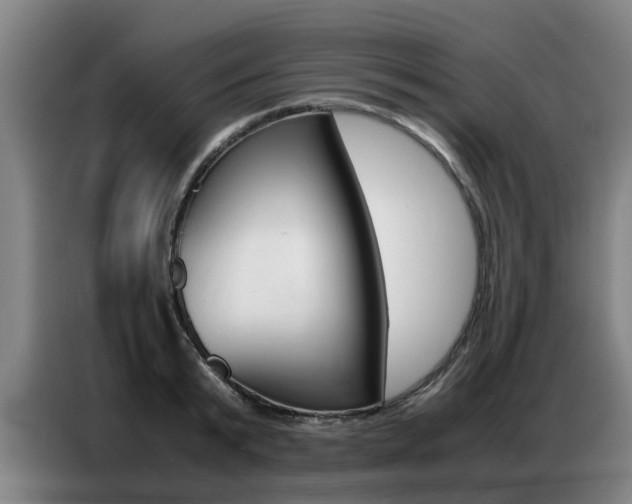 X0000087320799200704200738