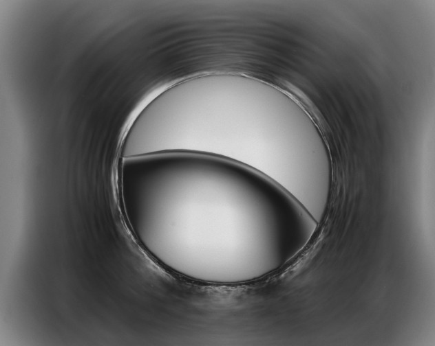 X0000087320812200704200738