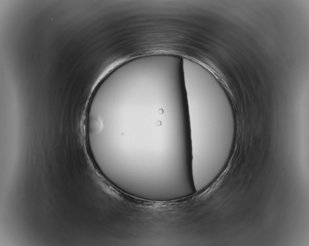 X0000087320814200704200738