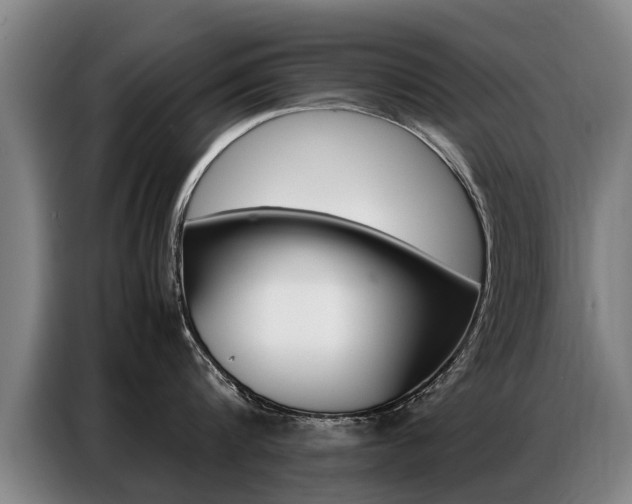 X0000087320816200704200738